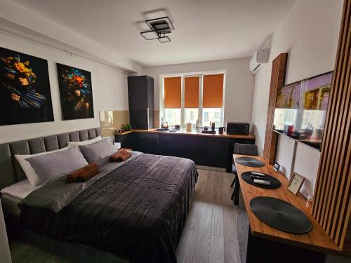 Onesti Apartment | Modern Studio 3