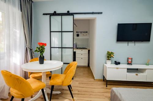 Zalau Apartment | Modern Studio D-va N: Pet Friendly & Highly Rated Stay
