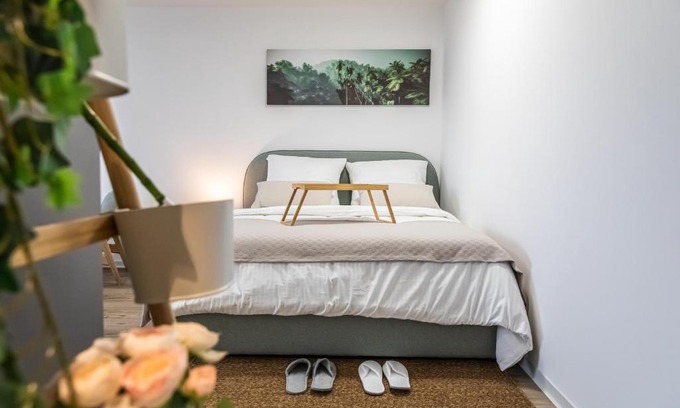 Ostend Apartment | Modern Studio with Balcony & King Bed - Pet Friendly Stay