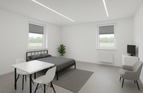 Bad Rappenau Apartment | Modernes Einzimmerappartement mit Frühstück