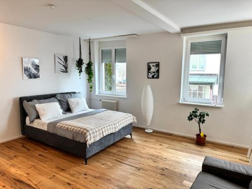 St. Gallen Apartment | Modernes, renoviertes Apartment nähe dem Zentrum kostenloses Parken
