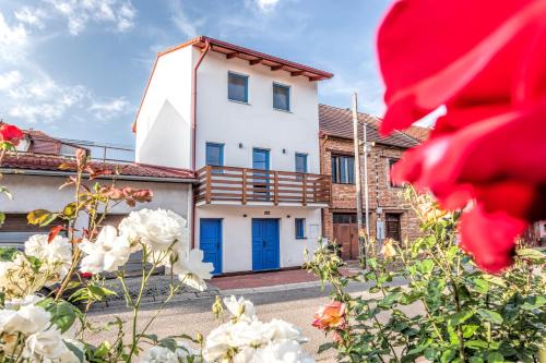 Velke Pavlovice House | Exceptional Modrý sklep 77: Family-Friendly with Kitchen