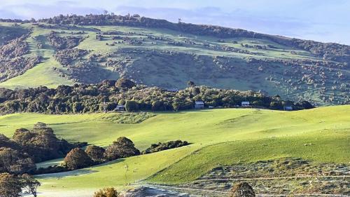 Owaka Ski Chalet | Eco-Friendly Mohua Park - Catlins Family & Pet Accommodation