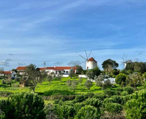 Santiago do Cacem Resort | Oceanfront Family Escape at Moinhos do Paneiro