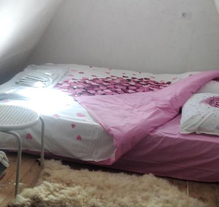 Virak House | Discover Moj raj: Ideal for Families and Pet Lovers