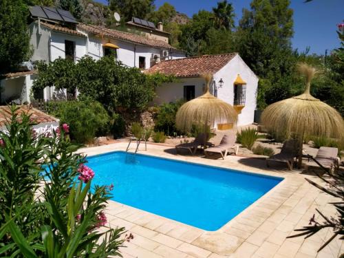 Benaojan House | Experience Molino del Caracol: Pet-Friendly Oceanfront Retreat