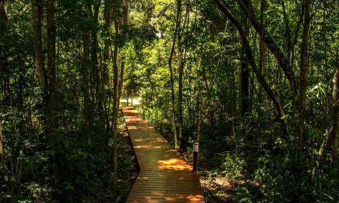 Santa Ana Resort | Experience Momora Distrito Selva: Poolside Retreat Awaits