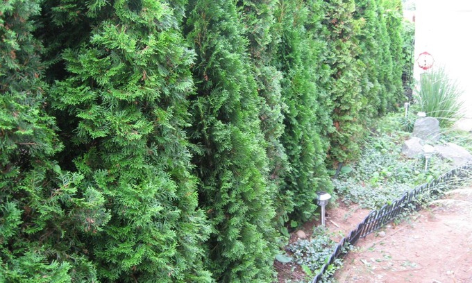 Campbell River Bed & Breakfast | Guest Rated 10/10: Money Pennies B&B with Breakfast Included