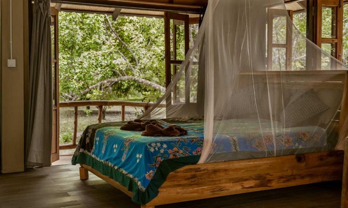 Khlong Sok Cabin | Explore Monkey Mansion: Jungalows & Family-Friendly Tours