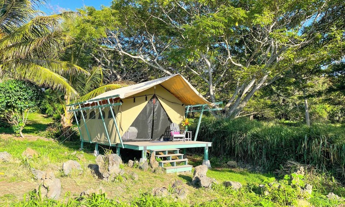 Kealakekua Apartment | Monkeypod Canopy: Cozy Retreat with Shared Bath & Kitchen