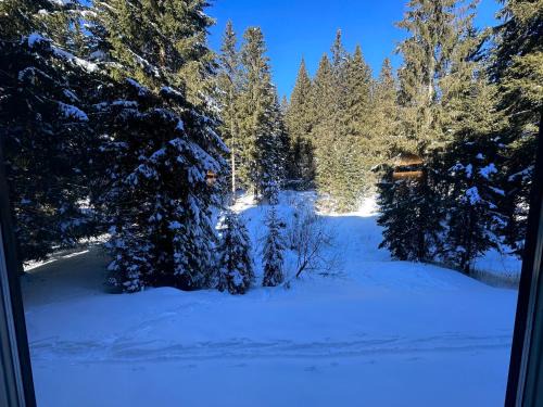 Campo Carlo Magno Apartment | Pet-Friendly Monolocale Cristallo - Guest Rated 9/10
