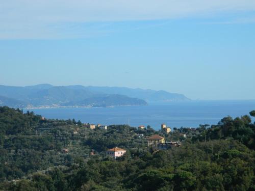 Ruta Apartment | Pet-Friendly Monolocale Fattorialmare Gialla Awaits You