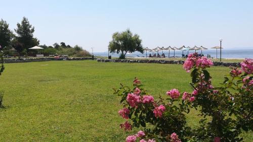 Ormilia Apartment | Experience Monopetro: Pet-Friendly Hotel with Ocean Views