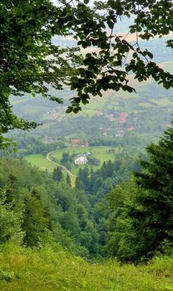 Moieciu Cabin | Mont Crai