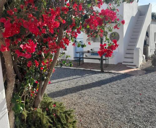 Altura Resort | Experience Monte da Lagoa: Oceanfront Bliss & Top Ratings