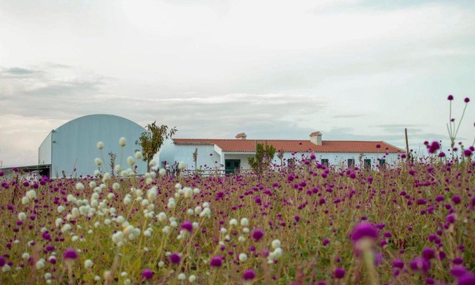Sao Mancos House | Unforgettable Stays at Monte de Palma: 4-Star Pet-Friendly Retreat