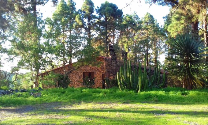 La Guancha House | Discover Monte Frio de Tenerife: Ocean Views & Family-Friendly
