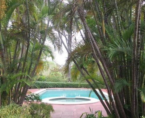 Mango Walk House | Idyllic Montego Bay Beach House with Pool and Pet-Friendly Options
