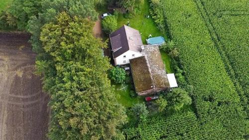 Thaden House | Relax in Monteurszimmer with Pet-Friendly Comfort