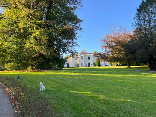 Liskeard Bed & Breakfast | Top-Rated Family Haven: Moorswater Lodge Awaits You