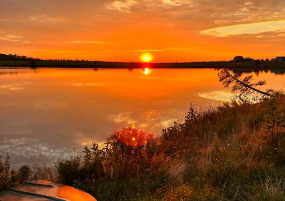 Halifax County House | Cozy Moose River Cottage: Pet-Friendly & Family Approved