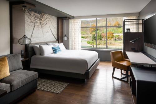 Morgantown Hotel | Pet-Friendly Morgantown Marriott with Spa and Dining Options