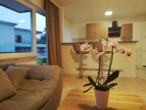 Baden-Baden Apartment | Discover the Moscow Areal Suite: Rated 9.2 by Guests