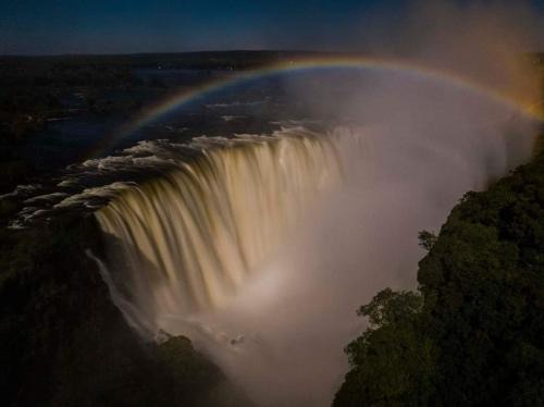 Livingstone Apartment | Mose St