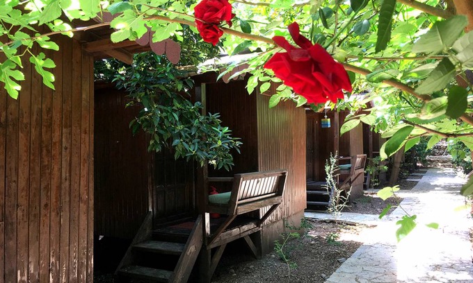 Olympos House | Pet-Friendly Motel for Up to 8 Guests with Breakfast