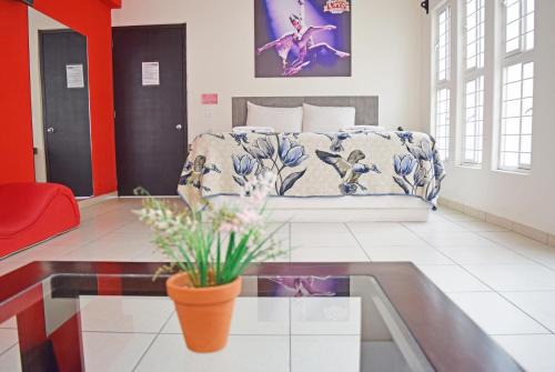 San Lorenzo Cacaotepec Hotel | Budget-Friendly Motel el Circo with Breakfast & Hot Tub