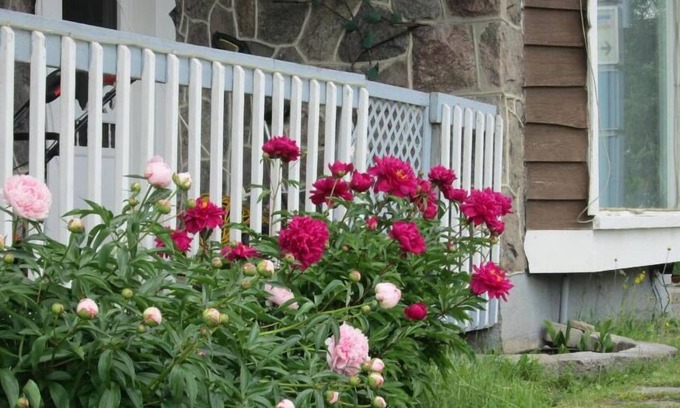 Duberger-Les Saules Hotel | Budget-Friendly Stay at Motel Jann with Breakfast & Kitchen