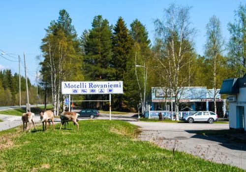 Rovaniemi Hotel | Pet-Friendly Motelli Rovaniemi: Family Comfort Awaits