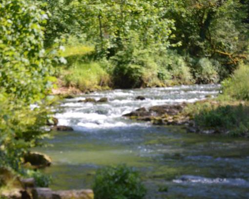 Cusance Bed & Breakfast | Discover Moulin de la Cuse: Pool & Pet-Friendly Stay
