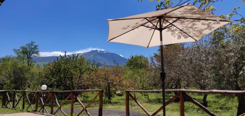 Maletto House | Pet-Friendly Mount Etna Chalet with Kitchen & Breakfast