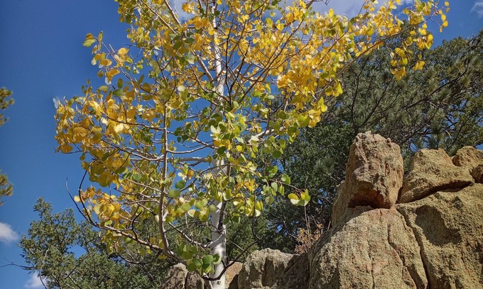Westcliffe Cabin | Mountain Cabin, Cozy Off-Grid Retreat near Westcliffe,CO See below for Specials!