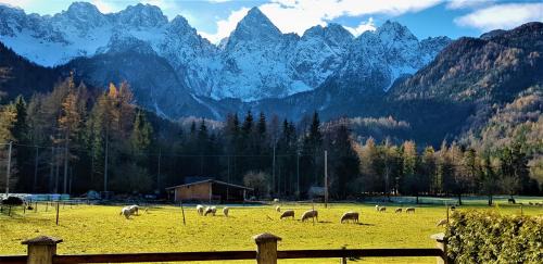 Gozd Martuljek Apartment | Cozy Mountain Peaks Apartment with Sauna & Spa Access