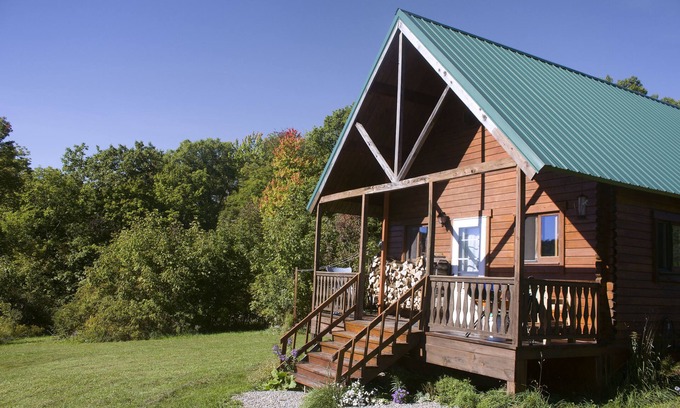 Dryden Cabin | Pet-Friendly Queen Log Cabin with Spa and Hot Tub