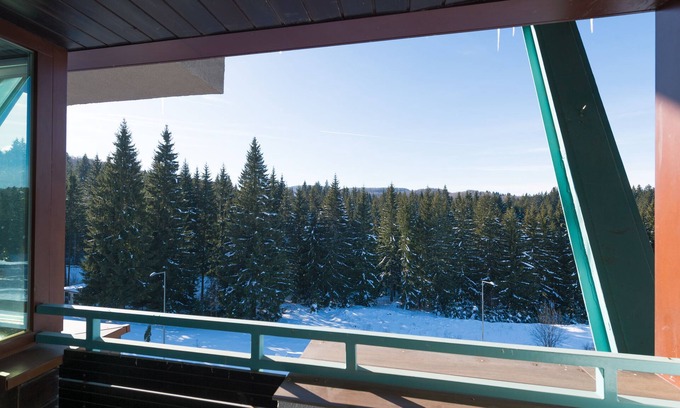 Poiana Brasov Apartment | Relaxing Mountain Retreat in the Carpathians with Pool & More