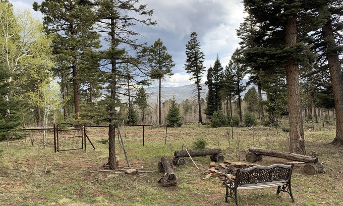 Angel Fire House | Unforgettable Mountain Top Retreat with Pool & Breakfast