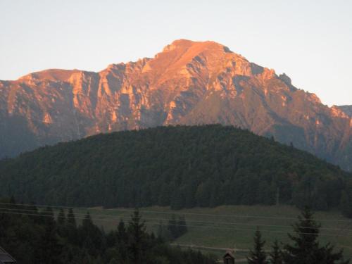 Rasnov Apartment | Pet-Friendly Mountain View Apartment in Predeal