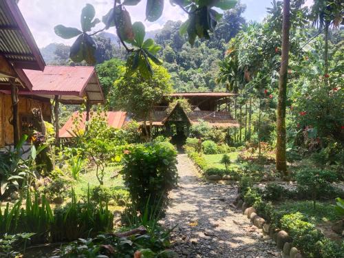 Batang Serangan Hotel | Relaxing Mountain View Cottages & Villa Tangkahan Retreat