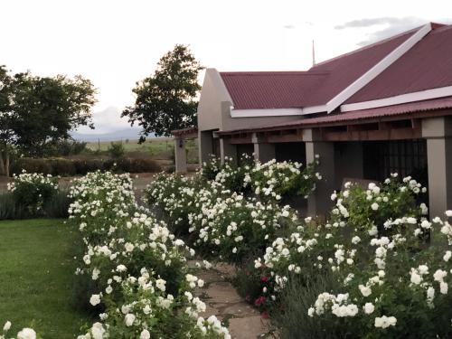 Inxuba Yethemba House | Guest Rated: Mountain View Country Guest House Awaits You
