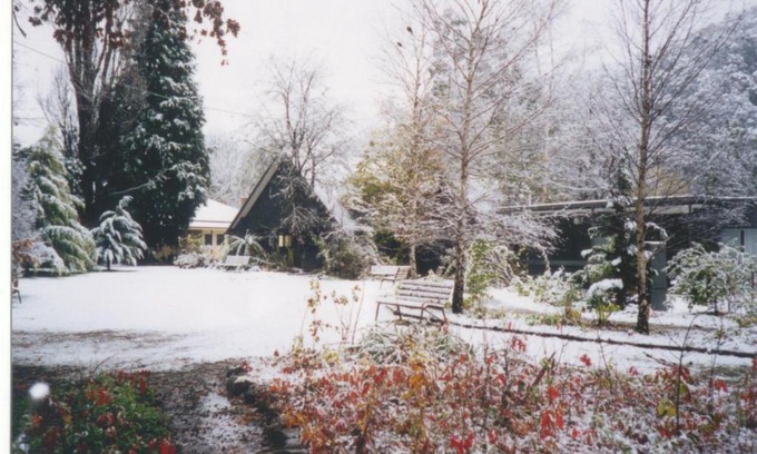 Harrietville Hotel | Relax at Mountain View Holiday Retreat with Kid-Friendly Amenities