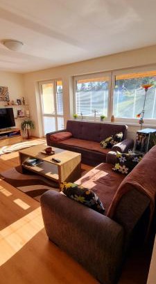Vysne Ruzbachy Apartment | Mountain Village Apartment Pinewood: Spa, Hot Tub & 9.5 Rating