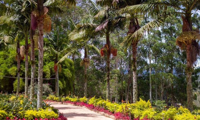 Rionegro Hotel | Experience Mountains of Hope: 4-Star Spa & Pool Retreat