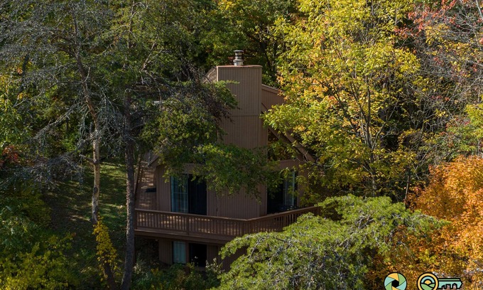 Basye Ski Chalet | Mountainside Chalet: Pet-Friendly Retreat with Scenic Views
