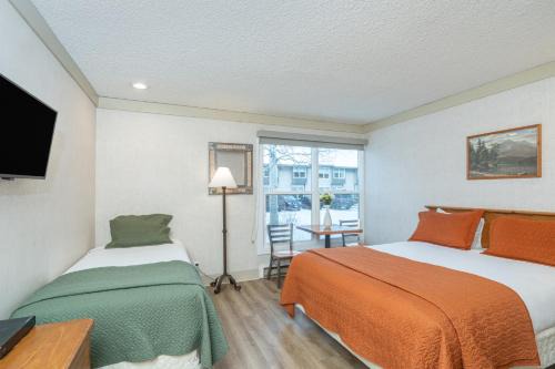 Telluride Hotel | Cozy Stay at Mountainside Inn 410 - Pet and Child Friendly