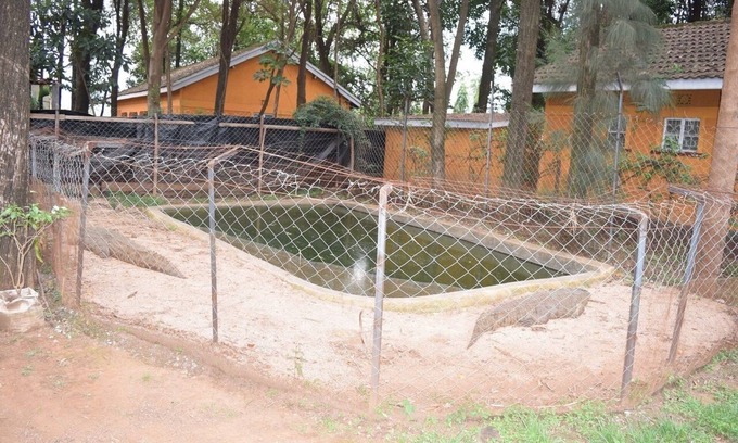 Kisumu Bed & Breakfast | Experience Local Living at Our Budget-Friendly Hotel