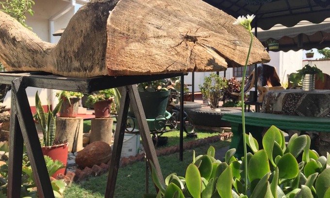 Harare House | Mpofu Guest House: Family-Friendly Stay with Breakfast Included