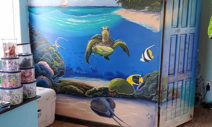 San Pedro Cottage | Explore Mr. Ed's Adventures: Oceanfront Stay in Belize